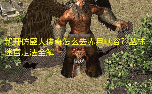 新开仿盛大传奇怎么去赤月峡谷？丛林迷宫走法全解